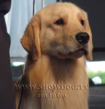 Clique sobre a foto para fechar